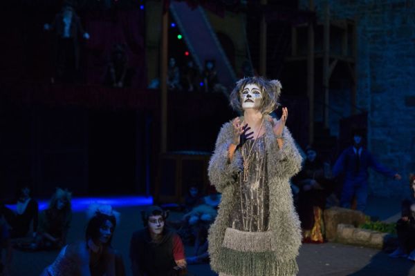 21-63f808df Von der M&uuml;llkippe zum Circus: CATS begeistert als Neuinszenierung in Tecklenburg &ndash; musicalradio.de | Musicals kostenlos im Radio