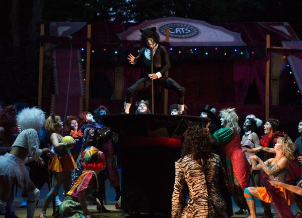 20-8083ac9a Von der M&uuml;llkippe zum Circus: CATS begeistert als Neuinszenierung in Tecklenburg &ndash; musicalradio.de | Musicals kostenlos im Radio