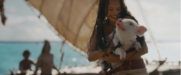 04-9694dda4 Offizieller Trailer zur VAIANA Live-Action-Verfilmung &ndash; musicalradio.de | Musicals kostenlos im Radio