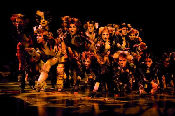 03_Ensemble_Boehme-dc17b347 Der Musical-Welterfolg Cats auf Tour &ndash; musicalradio.de | Musicals kostenlos im Radio