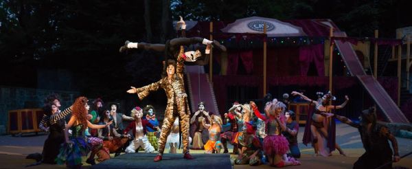 19-f9eaaa9b Von der M&uuml;llkippe zum Circus: CATS begeistert als Neuinszenierung in Tecklenburg &ndash; musicalradio.de | Musicals kostenlos im Radio